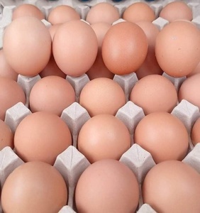 Huevos de gallina comestibles, frescos de granja, al por mayor, orgánicos, de cría libre, proveedor de alimentos proteicos, calidad de exportación a granel - Product Image 1