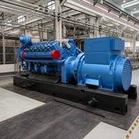 Fabrikpreis Hochwertige 100KVA Gasgeneratoranlage Spannung 50/60HZ Frequenz Auto/Fernstart Geräuscharmer Gasgenerator