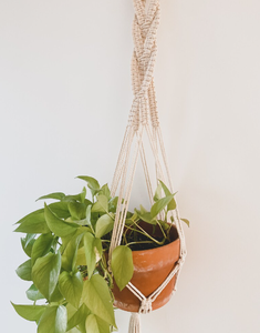 Porte-plantes artisanal minimaliste moderne - Product Image 1