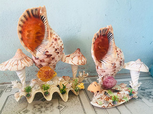 Vietnam Custom Eco-Friendly <b>Wooden</b> Seashell Animal Sculpture Toys for Home Wall Decor - Product Image 3
