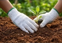 Soldes de janvier pour les gants en coton tricoté, poids 500 grammes, pour le jardinage