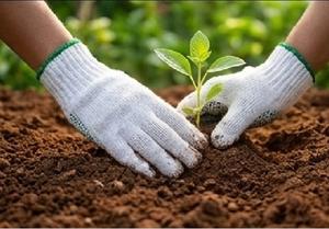 Oferta de enero para guantes de algodón tejido, peso 500 gramos, para jardinería - Product Image 4