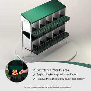 Solución Segura para Almacenamiento de Huevos: Caja de Nidificación Des Champs MG04D-L con <span class=keywords><strong>Ocho</strong></span> Compartimentos, Patas de Acero y Plástico PP - Product Image 2