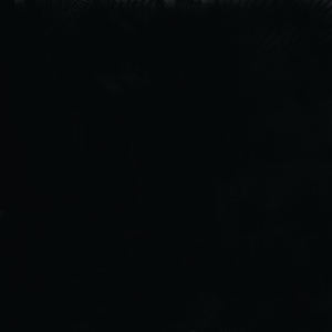 Camisetas para hombre, camiseta gráfica directa de fábrica, impresión personalizada, 60% algodón, 40% poliéster, camiseta serigrafiada - Product Image 5