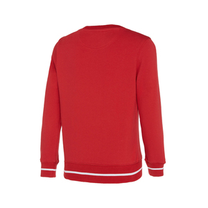 Sweat-shirt à col rond pour homme en coton 100% imprimé en relief 3D, coupe-vent, pour la saison hivernale, fabrication ODM, marque privée - Product Image 4
