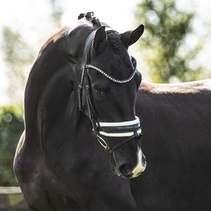 Brida snaffle - Product Image 2