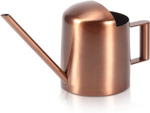 Arrosoir en métal imprimé pour jardinière fleur jardin maison arrosoir décor couleur rouge tendance Design eau peut fournitures de jardin - Product Image 2