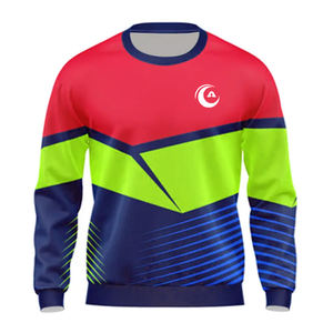 2025 sudadera de gran tamaño con estampado francés Terry para hombre, ropa de calle con cuello redondo y logotipo bordado, suéter de moda de algodón - Product Image 5