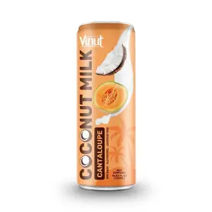Coconut Milk w Cantaloupe | 320ml (Pack of 24) VINUT, Plant Based, Non-GMO, No Added Sugar, Essential Electrolytes, OEM ODM