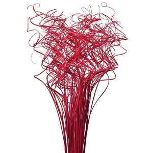 Palm Ting Ting Fleur Séchée Technique Sèche Naturelle Différentes Tailles Remplisseur de Vase pour Toucher Décoratif Saisonnier - Product Image 1