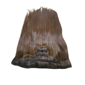 2025 nouveau Remy Clip-In soyeux vague droite Extensions de cheveux humains produit en gros en vente - Product Image 5