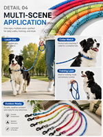 Laisse pour chien en nylon réfléchissant, robuste et durable pour la sécurité nocturne et les promenades en extérieur