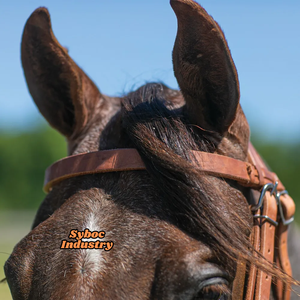 Brida de caballo Brida occidental Nuevo estilo inglés Brida de doma Piel de vaca genuina Caballo Headstall Productos de cuero Premium para caballos - Product Image 2