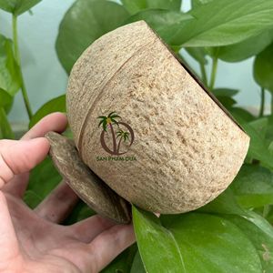 ชุดถ้วย COCO-ECO มะพร้าวธรรมชาติพร้อมช้อนจากเวียดนาม/ถ้วยทรงมะพร้าวเป็นมิตรกับสิ่งแวดล้อมและยั่งยืน - Product Image 6