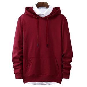 Venta al por mayor 500gsm 100% algodón hombres sudaderas con capucha de gran tamaño de alta calidad logotipo personalizado bordado sudaderas con capucha para el invierno - Product Image 4