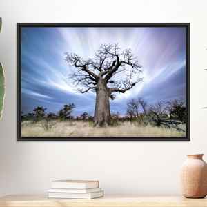 Impresión en lienzo de árbol de <span class=keywords><strong>baobab</strong></span>: <span class=keywords><strong>decoración</strong></span> de paisaje natural africano, lienzo con marco negro - Product Image 1