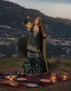 Vestido de Fiesta Formal Moderno de Gasa Real Bordada con Cristales y Volantes de Encaje para Mujer, Estilo Pakistaní - Product Image 4