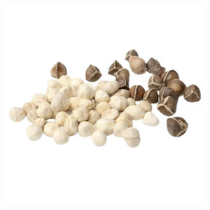 Feuille de Moringa pure et extrait de graines de Moringa produit agricole à double avantage - Product Image 5