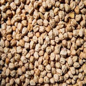 Pois bruns séchés, entièrement nettoyés à la machine, qualité Sortex, origine Éthiopie, séchés à l'air, culture courante, pois chiches bruns, emballage en vrac - Product Image 1