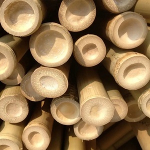 Piquets en bambou utilisés pour l'agriculture Poteaux en bambou utilisés pour la construction Poteaux en bambou utilisés pour la décoration de la maison Tube 2-8cm de diamètre - Product Image 4
