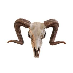 Cuerno de búfalo de alta calidad Natural religioso Kosher Shofar soplado pulido decoración de vacaciones ecológica - Product Image 6