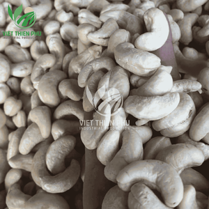 Premium Organic <b>Cashew</b> <b>Nuts</b> From Vietnam W180-W450 Grades Raw & Cool-Dried ISO 22000 Certified Export Product - Product Image 4