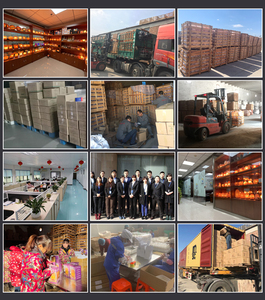 Lampe en sel naturel de l'Himalaya en gros en forme de fleur de rose avec base en bois classique - Product Image 5