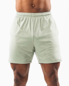 Logo Brodé Personnalisé 5 Pouces Entrejambe Entraînement Powerlifting Short En Maille Sublimée Short De Course Hommes - Product Image 1