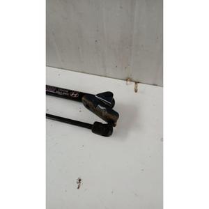 Amortiguadores de capó trasero HYUNDAI i10 Series (AC3, AI3) (19>) 81830-K7010 G3LD - Product Image 5