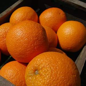 Oranges fraîches en gros, mandarines fraîches à vendre, oranges sucrées délicieuses en gros, oranges sanguines fraîches à vendre - Product Image 3