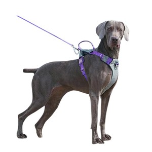 Arnés de Nailon Morado para Perro con Cierre de Hebilla Ajustable y Juego de Correa a Juego para Perros Medianos - Product Image 3