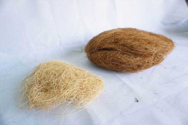 ธรรมชาติ