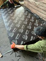 Contreplaqué filmé noir de première qualité 1220x2440 15mm 18mm pour coffrage, usage hôtelier et construction HCPLY LUCYPLYWOOD