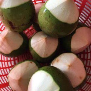 Jeune noix de coco fraîche du Vietnam offre spéciale - Product Image 1