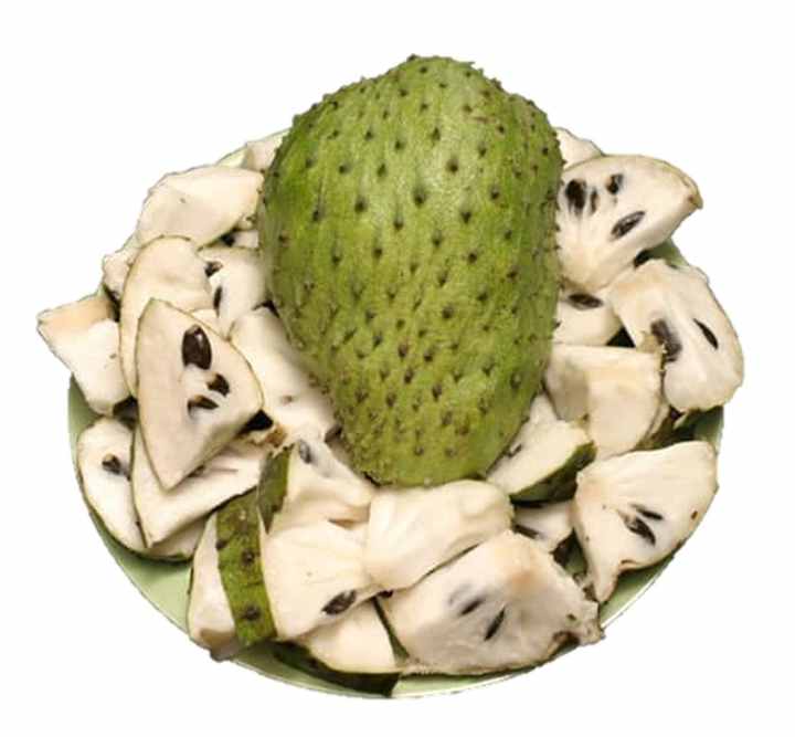 TOP SALE BEST PRICE PREMIUM QUALITY FROZEN SOURSOP BITTER FROM VIETNAMESE SUPPLIERS