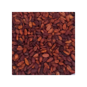 Granos de cacao crudo secado al sol | Proveedores de granos de cacao | Fabricantes | Mayoristas - Product Image 3