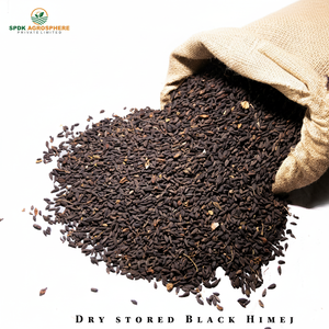 Hierba Desintoxicante Black Terminalia Chebula - Product Image 1