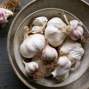 Ail frais prix de gros - Product Image 1