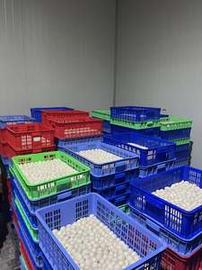 Litchi congelé | Pelé et sans pépins | Exportation en vrac du Vietnam - Product Image 2