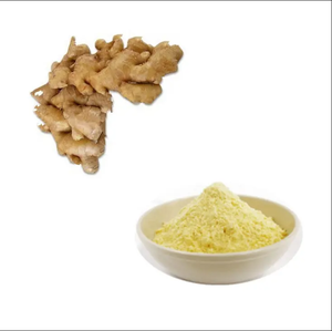 Pure Organic <b>Ginger</b> Plant Root Extract 1%~20% Gingerol <b>Powder</b> - Product Image 1