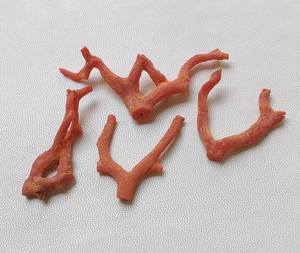 ปะการังแดงดิบ 100% ธรรมชาติ ปะการังอิตาลี หินมีค่า รูปทรงกิ่งไม้ ไม่ขัดเงา คุณภาพ AA++ ปะการังแท่ง หินมีค่า ปะการังแดงแท่ง - Product Image 3