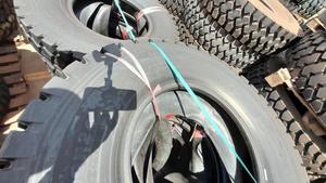 ยางรถบรรทุกคุณภาพสูงสำหรับการพาณิชย์ ประเทศไทย 12R22.5 1200R24 445/65R22.5 ยางรถบรรทุกใหม่สำหรับการพาณิชย์ 12R22.5 1200R24 445/65R22.5 - Product Image 5