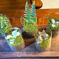 Vases en verre pour terrarium en gros, plantes succulentes, plantes aériennes, fougères, mousse, micro-paysage, vase pour la décoration de la maison, du jardin et de la table