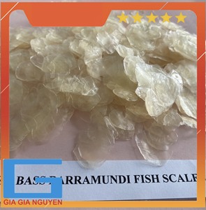 Écailles de poisson séchées de grande taille Tilapia Barramundi pour usage industriel de collagène, écailles de poisson séchées sans calcium, Vietnam - Product Image 2