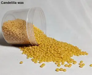 100% Pure and Natural Cosmetic Use Candelilla Wax For Beauty Product Export Top Quality Supplier From India
