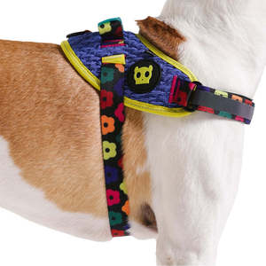 สายรัดอกสัตว์เลี้ยง Farm Rio Samba Flyharness แบบมีหูจับ ดีไซน์เรียบหรู สามารถปรับแต่งได้ มีขนาดเล็ก กลาง ใหญ่ XL XS ผลิตจากโพลีเอสเตอร์เนื้อแน่น - Product Image 4
