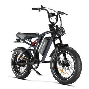 Livraison directe Happyrun Tank <span class=keywords><strong>G60</strong></span> Pro 2000W Moped Style Offroad avec livraison gratuite Mountain 20x4.0Fat Tire - Product Image 2