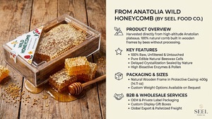 Pot de Miel en Nid d'Abeille 100% Pur Naturel Brut 400g, Miel Polyfloral Ambré Premium Certifié ISO, Durée de Conservation 5 Ans, Vente en Gros OEM - Product Image 6