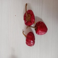 PIMENT ROUGE GUNDU DE QUALITÉ SUPÉRIEURE DE LA MARQUE RGPL, SÉLECTIONNÉ À LA MAIN, FABRIQUÉ EN INDE, EMBALLAGE SAC PP 25/50KG