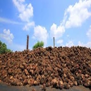 การส่งออกจำนวนมากของเปลือกเมล็ดปาล์ม (pks) สำหรับเชื้อเพลิงชีวภาพและวัสดุอุตสาหกรรม - Product Image 2